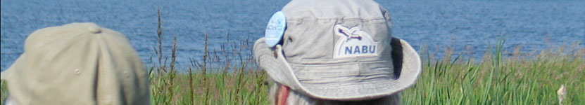 Headerbild