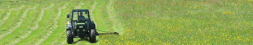 Headerbild