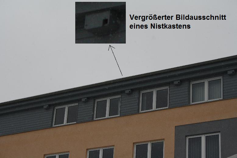 mauerseglernistkaesten_post_bad_arolsen.jpg